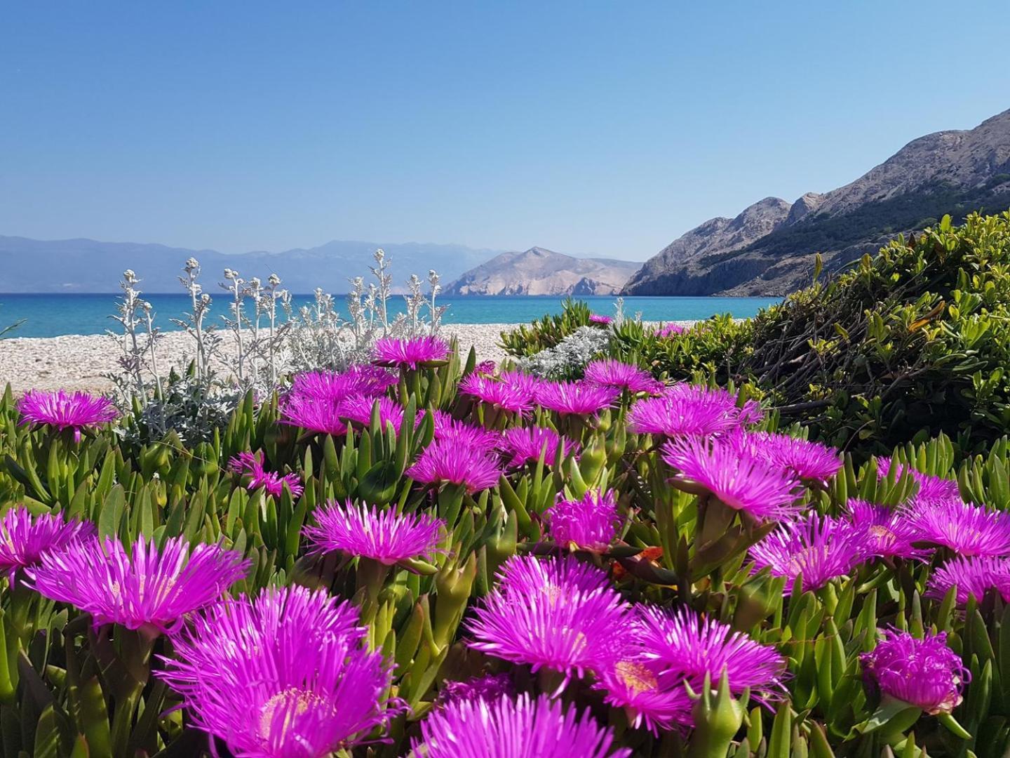 Villa Katarinini Dvori Baška Exterior foto